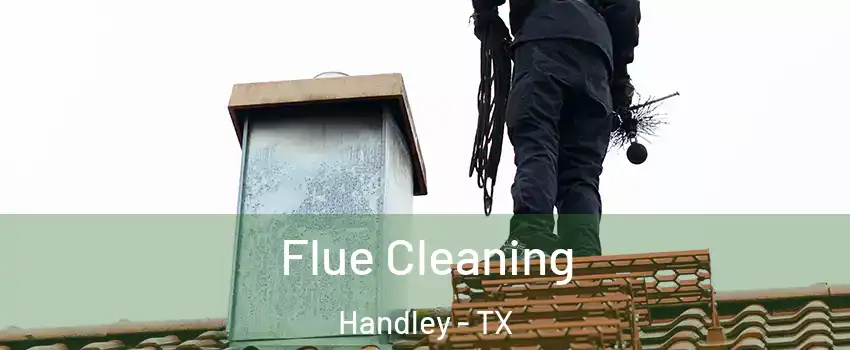 Flue Cleaning Handley - TX