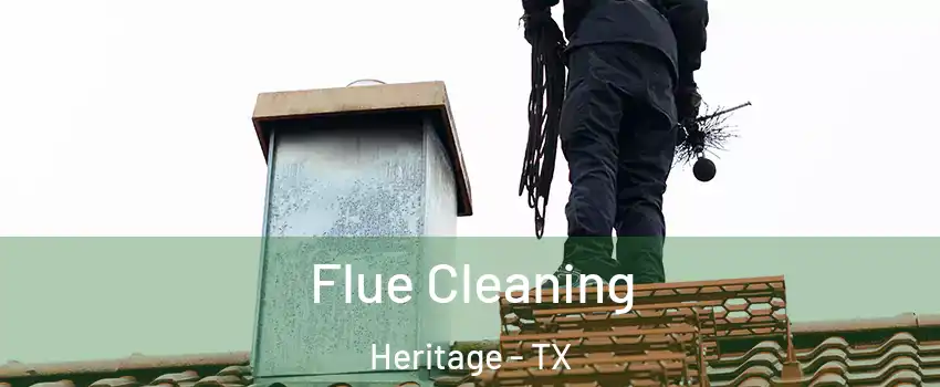 Flue Cleaning Heritage - TX