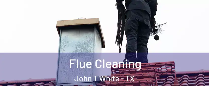 Flue Cleaning John T White - TX
