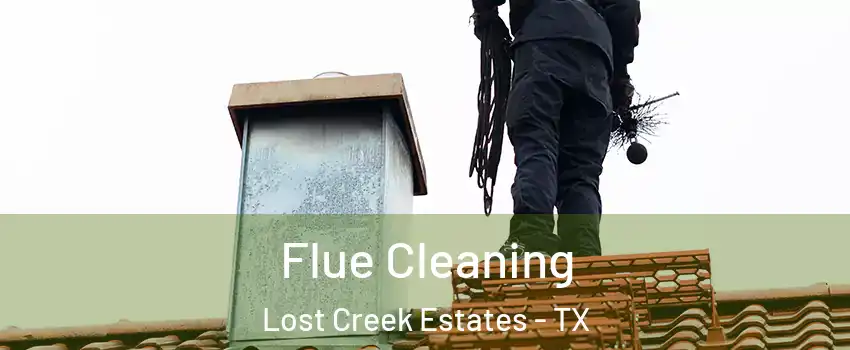 Flue Cleaning Lost Creek Estates - TX