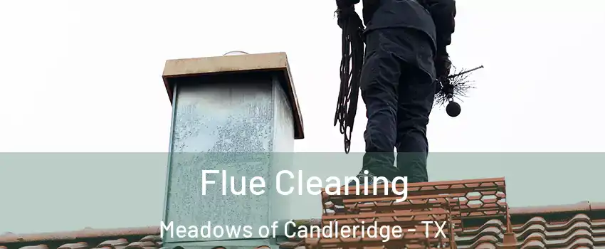 Flue Cleaning Meadows of Candleridge - TX