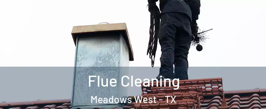 Flue Cleaning Meadows West - TX