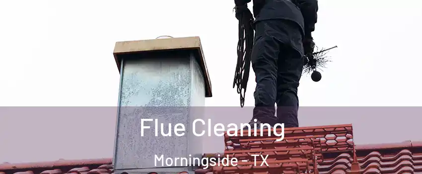 Flue Cleaning Morningside - TX