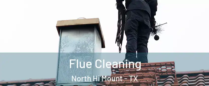 Flue Cleaning North Hi Mount - TX