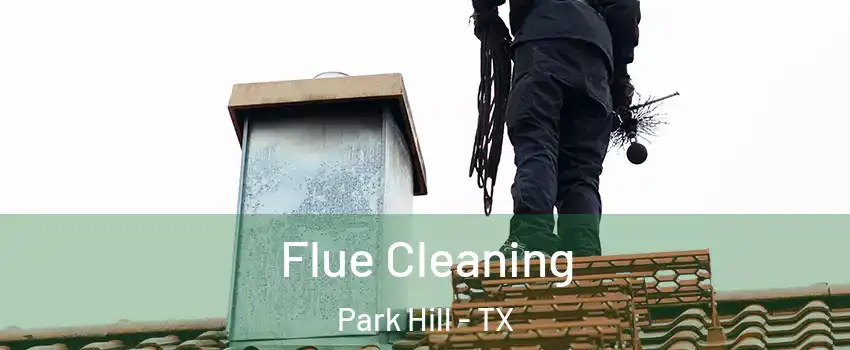 Flue Cleaning Park Hill - TX