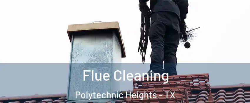 Flue Cleaning Polytechnic Heights - TX