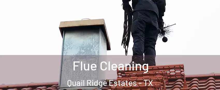 Flue Cleaning Quail Ridge Estates - TX