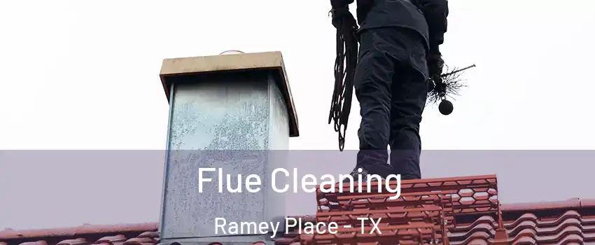 Flue Cleaning Ramey Place - TX