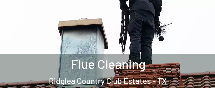 Flue Cleaning Ridglea Country Club Estates - TX