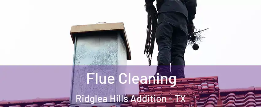 Flue Cleaning Ridglea Hills Addition - TX