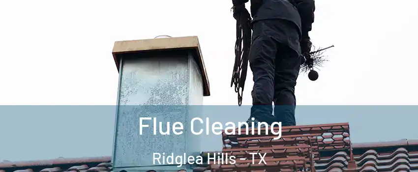 Flue Cleaning Ridglea Hills - TX