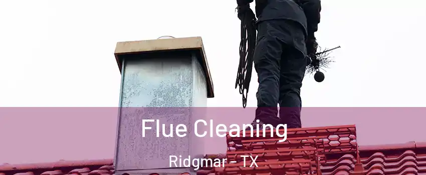Flue Cleaning Ridgmar - TX