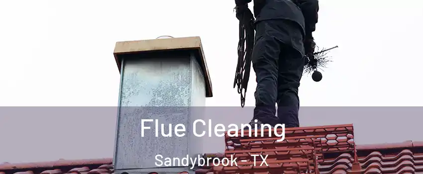 Flue Cleaning Sandybrook - TX