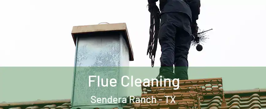 Flue Cleaning Sendera Ranch - TX