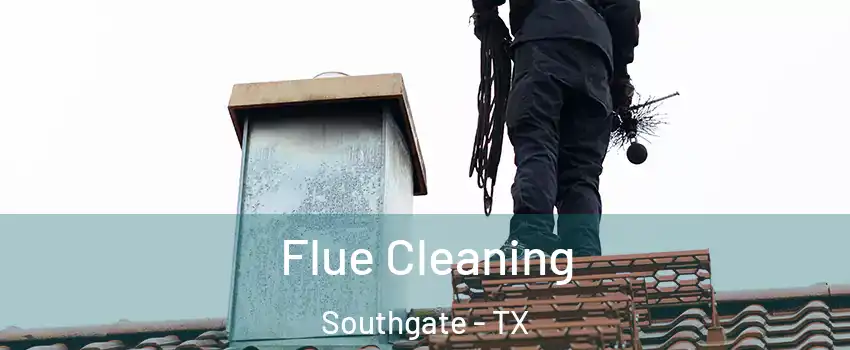 Flue Cleaning Southgate - TX