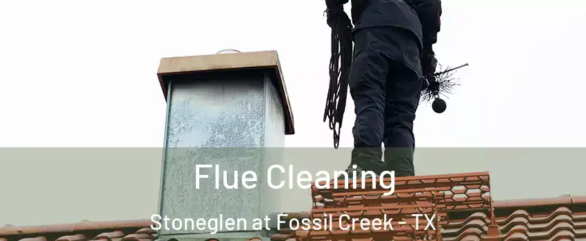 Flue Cleaning Stoneglen at Fossil Creek - TX