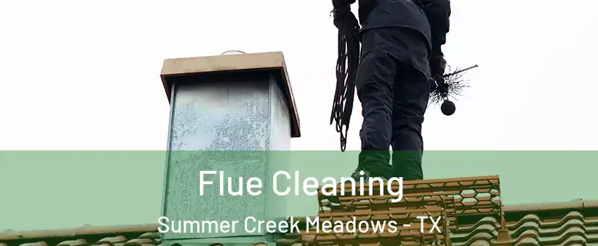 Flue Cleaning Summer Creek Meadows - TX