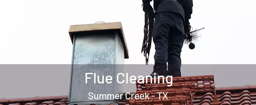 Flue Cleaning Summer Creek - TX