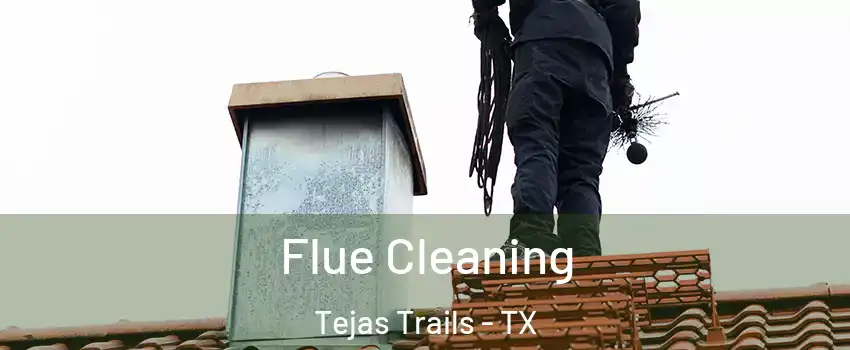 Flue Cleaning Tejas Trails - TX