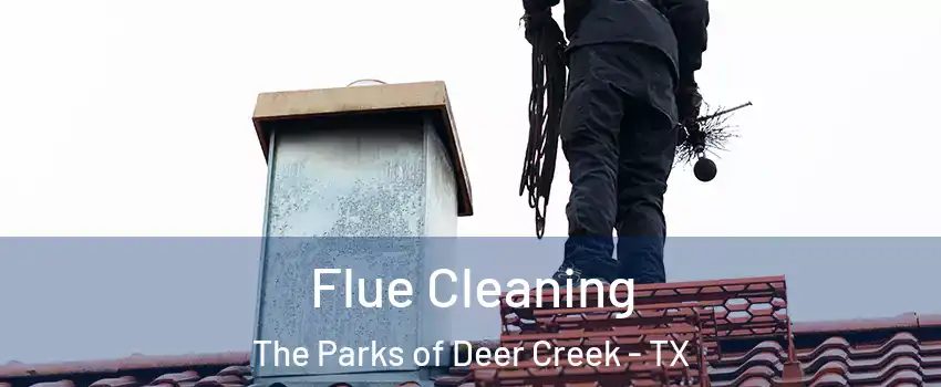Flue Cleaning The Parks of Deer Creek - TX