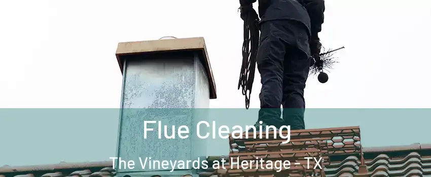 Flue Cleaning The Vineyards at Heritage - TX