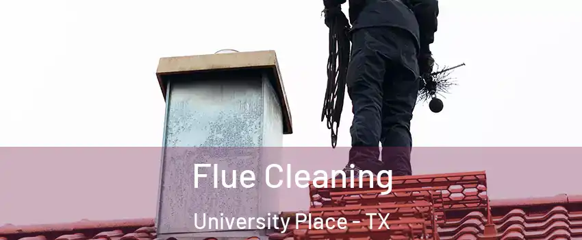 Flue Cleaning University Place - TX