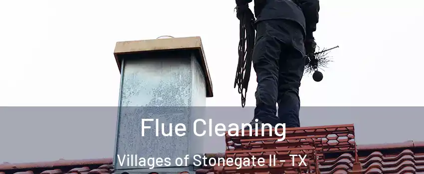 Flue Cleaning Villages of Stonegate II - TX