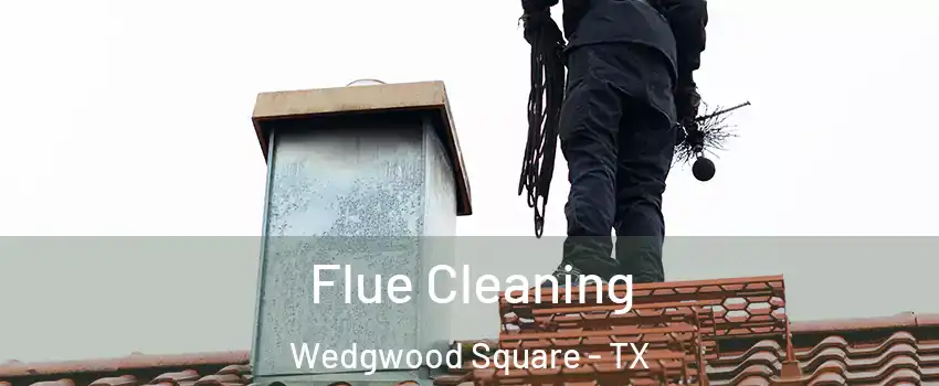 Flue Cleaning Wedgwood Square - TX