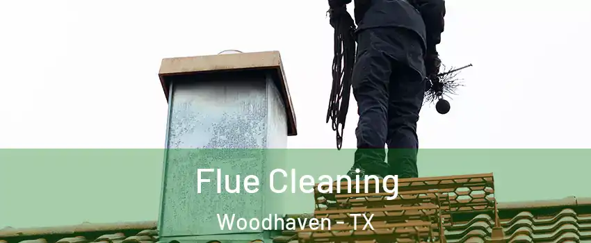 Flue Cleaning Woodhaven - TX
