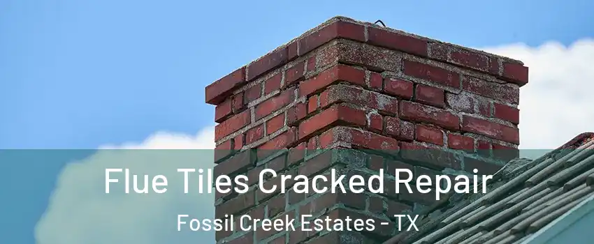 Flue Tiles Cracked Repair Fossil Creek Estates - TX
