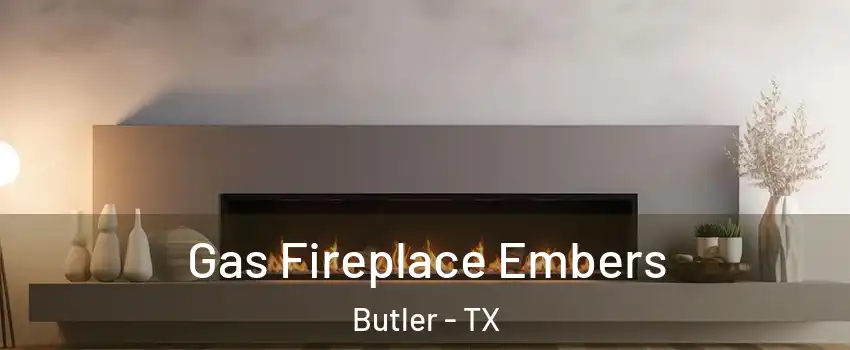 Gas Fireplace Embers Butler - TX