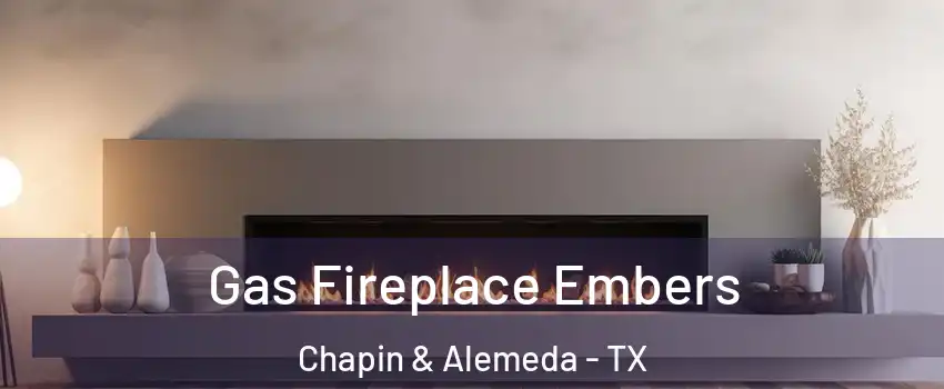 Gas Fireplace Embers Chapin & Alemeda - TX
