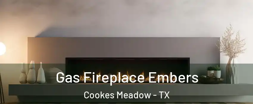 Gas Fireplace Embers Cookes Meadow - TX
