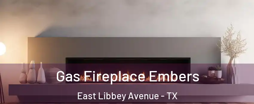 Gas Fireplace Embers East Libbey Avenue - TX
