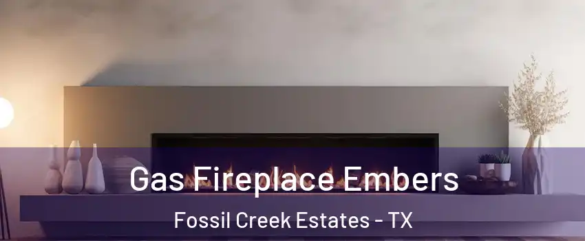 Gas Fireplace Embers Fossil Creek Estates - TX