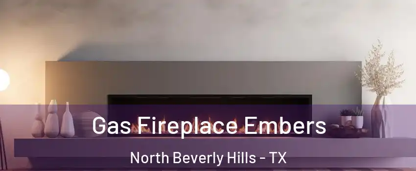 Gas Fireplace Embers North Beverly Hills - TX