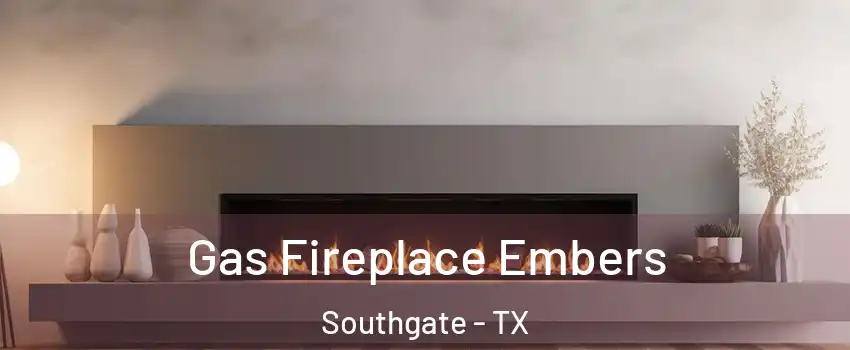 Gas Fireplace Embers Southgate - TX