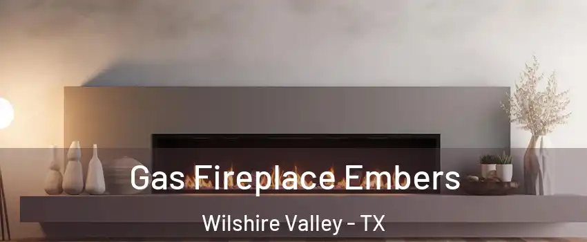 Gas Fireplace Embers Wilshire Valley - TX