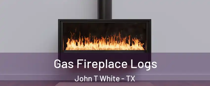 Gas Fireplace Logs John T White - TX