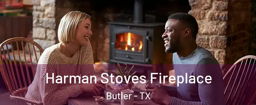 Harman Stoves Fireplace Butler - TX