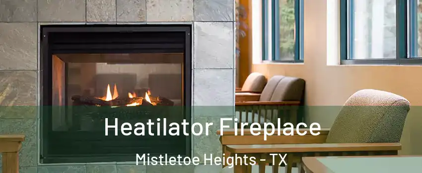 Heatilator Fireplace Mistletoe Heights - TX