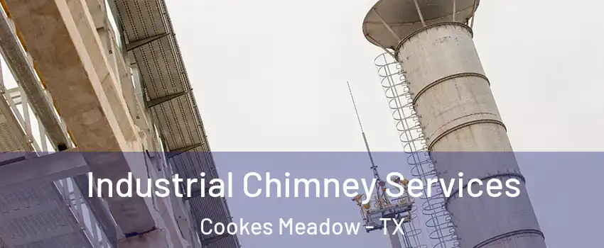 Industrial Chimney Services Cookes Meadow - TX