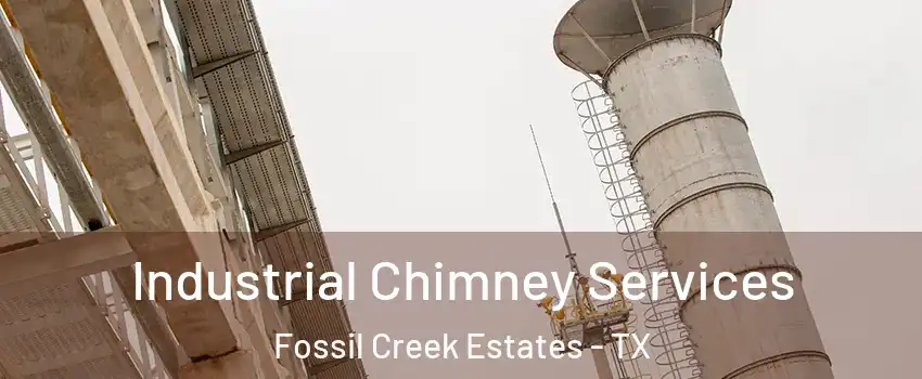 Industrial Chimney Services Fossil Creek Estates - TX