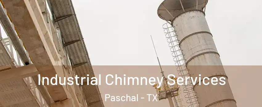 Industrial Chimney Services Paschal - TX