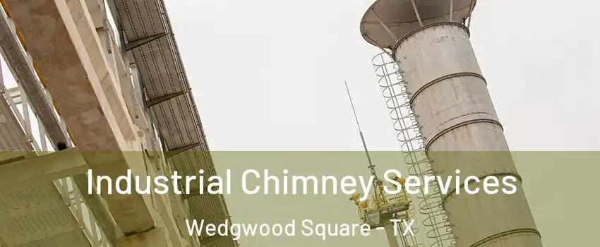 Industrial Chimney Services Wedgwood Square - TX