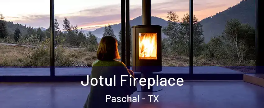 Jotul Fireplace Paschal - TX