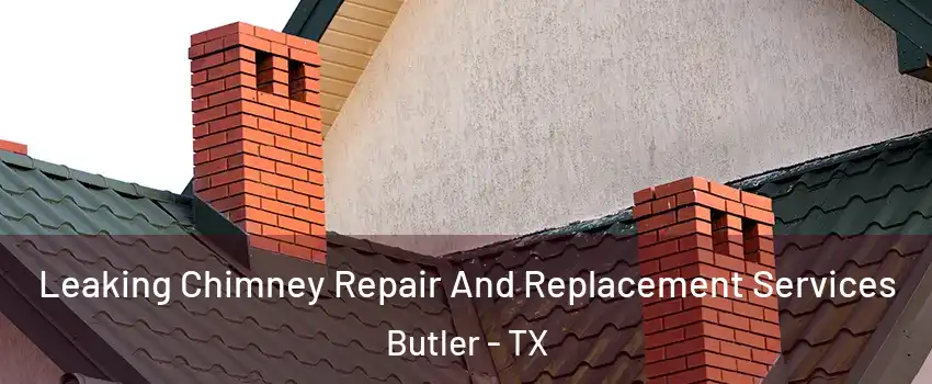 Leaking Chimney Repair And Replacement Services Butler - TX