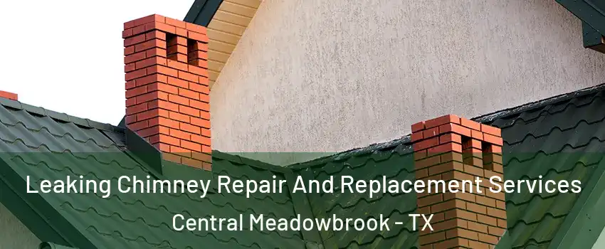 Leaking Chimney Repair And Replacement Services Central Meadowbrook - TX