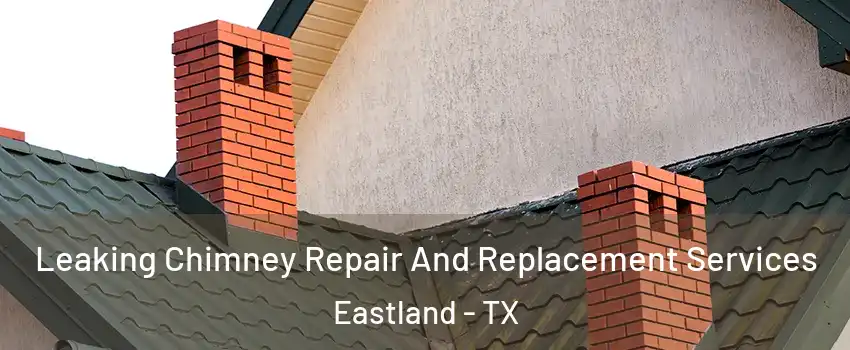 Leaking Chimney Repair And Replacement Services Eastland - TX