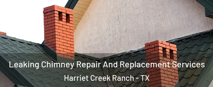 Leaking Chimney Repair And Replacement Services Harriet Creek Ranch - TX